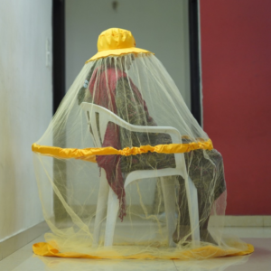 Mosquito Net Meditation Hat